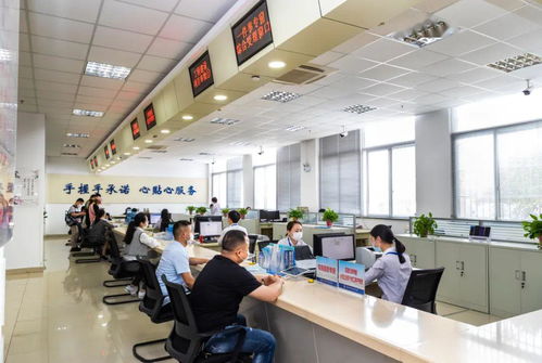 人靠衣裳马靠鞍 我的服装店创业攻略与信息咨询服务